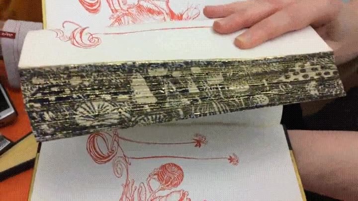 Enlace a El mensaje oculto en un libro de extrañas ilustraciones