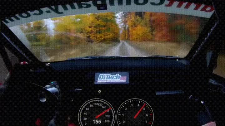sensación,206 kmh,rally,locura