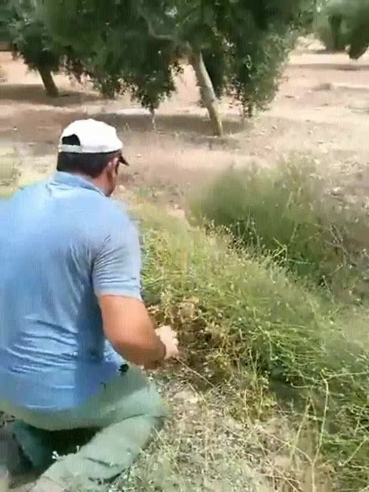 cada,vez,dificil,cazar,hoy en d&iacute;a