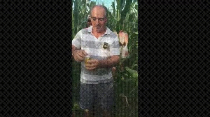 hortalizas,cambiar,cosas,lata,plot twist