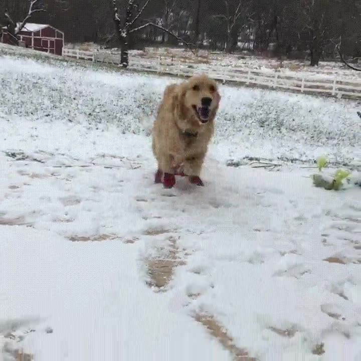 reacci&oacute;n,acabar,examenes,empezar,vacaciones