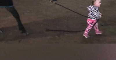 ni&ntilde;os,nacer,don,tratar,animales,caballo