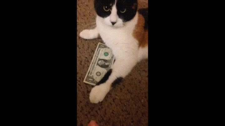 pedir,madre,dinero,salir,amigos