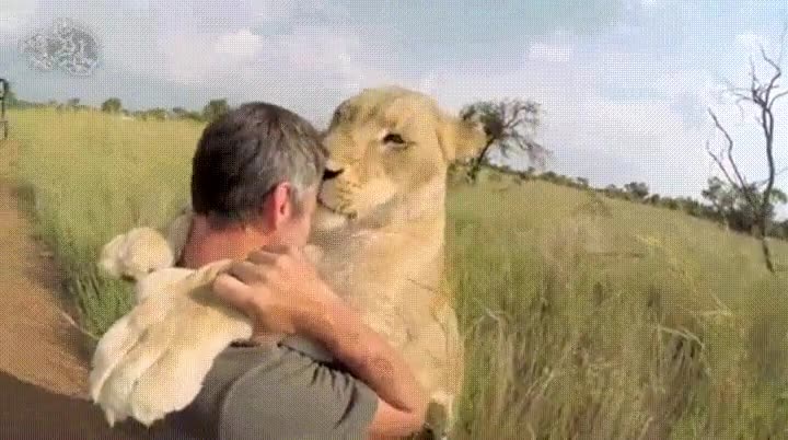 leona,decidir,dar,beso,pelicula