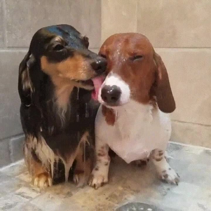 compartir,ducha,limpios,ahorrar,agua