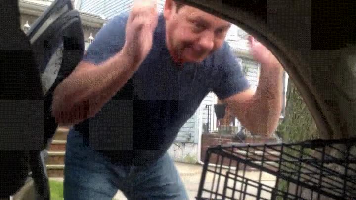 reacci&oacute;n,padre,nuevo,cachorro,llegar,casa