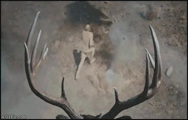 absurda,guerra,futuro,ciervo,dron,misiles
