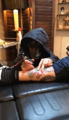 dejar,hacer,tatuaje,perro,capucha