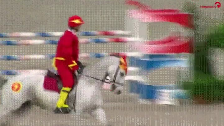 the flash,a veces,dejar,correr,montar,caballos