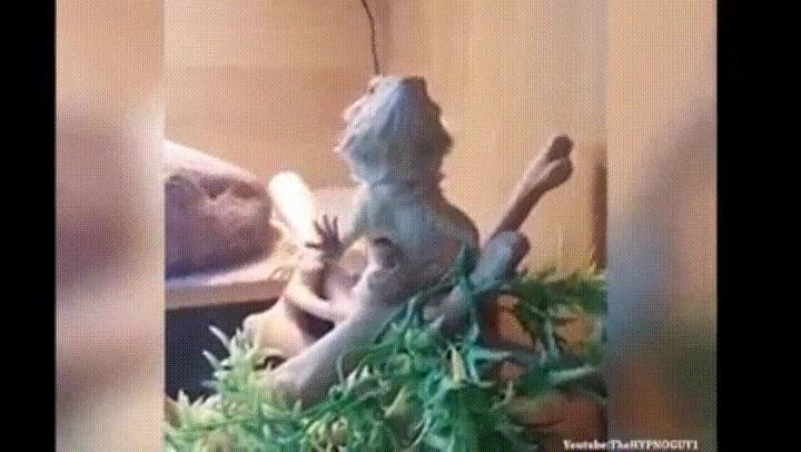 acabar,verano,despedir,persona,especial