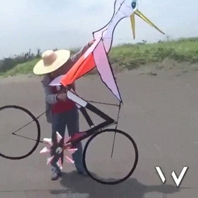 demasiado,internet,cometa,bicicleta