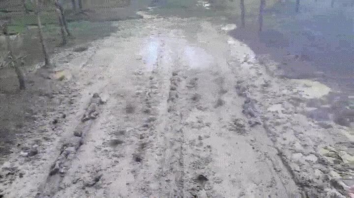 entrenamiento,militar,bestia,nunca,disparos