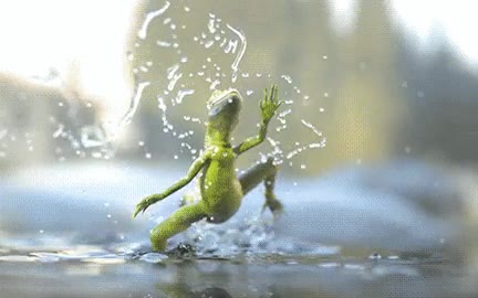 novia,decir,sola,casa