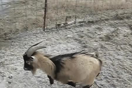 trabajo,tarde,aprovechar,superficie