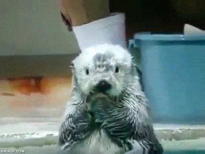 pareja,ilusi&oacute;n,comprar,algo,especial