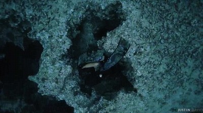 atrever,seguir,profundidades,mar