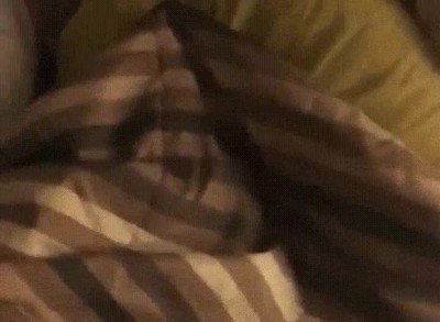 Enlace a Vaya, me has encontrado ;)