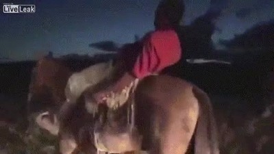 buenas noches,preocupar,caballo,conocer,camino