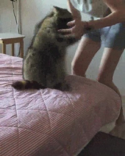 chica,gustar,hablar,desconocido