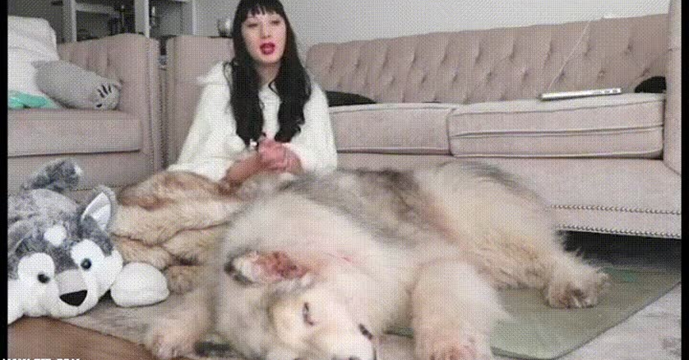 VAYA GIF Mejores
