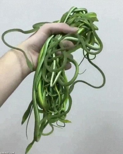 sacar,malas,hierbas,jardin,wait,serpientes