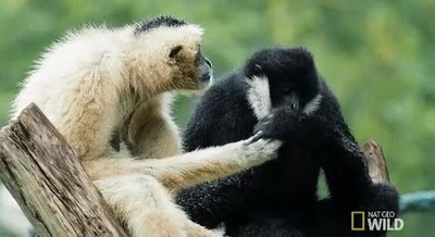 amor,limpiar,manos,boca