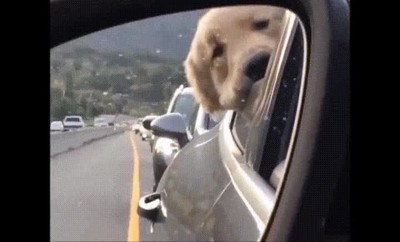 objetos,espejo,parecer,adorables