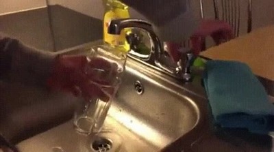 vida,grifo,monta&ntilde;a rusa,emociones