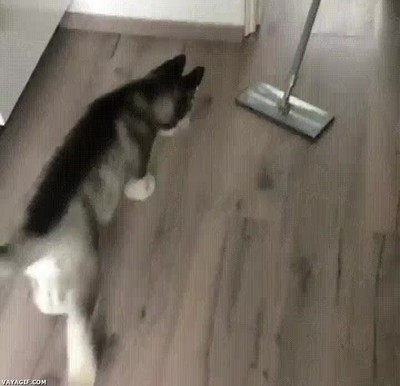 primera,epica,batalla,mopa