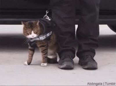 pagar,suficiente,dinero,aguantar,tonter&iacute;as