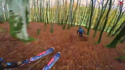 falta,nieve,buenas,hojas