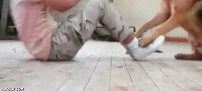 mejor,compa&ntilde;ero,ejercicios,puedes,tener