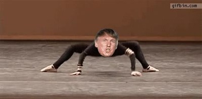 donald,trump,ara&ntilde;a,merecer