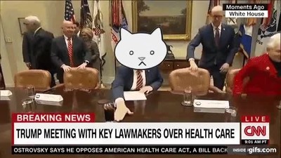 presidente,trump,gato,man&iacute;a,apartar