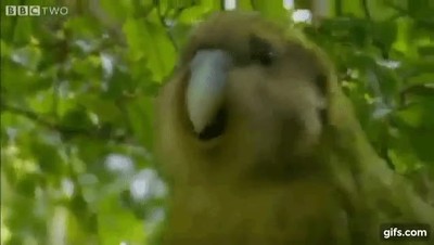 novia,decir,sola,casa