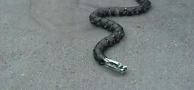 alucinante,movimiento,serpiente,rob&oacute;tica