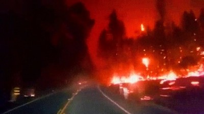 conducir,bosque,llamas,infierno,mal rollo