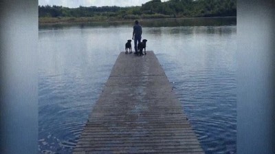 palo,chicos,entender,bien