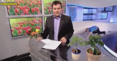 ganas,flexi&oacute;n,aguantarse,directo