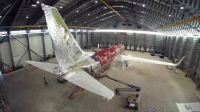 quitar,pintura,avi&oacute;n