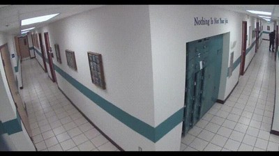 confiar,guardia,seguridad,asustadizo,refuerzos