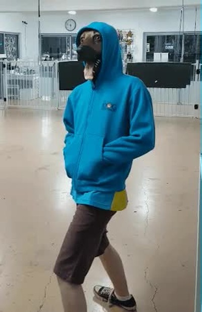 demasiados,cap&iacute;tulos,bojack horseman