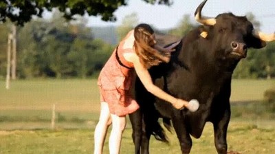 toros,torturar,crimen,arte