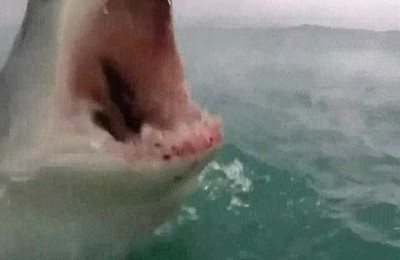 abuelita,tener,boca,grande,comer,mejor