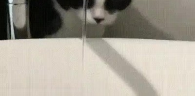 humano,maquina,grifo,funcionar,absurdo