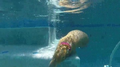 amor,quedarse,alguien,mirar,bajo el agua