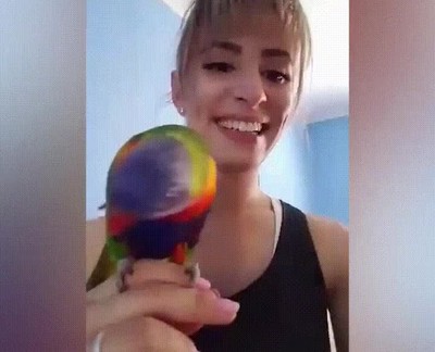 mejor,imitaci&oacute;n,loro,ver,vida