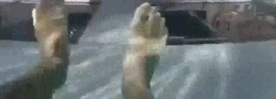 atrever,caminar,piscina,alturas,loco