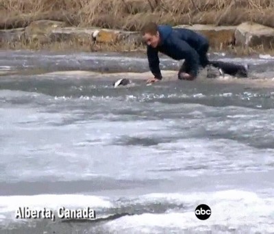 salvar,mascota,hielo