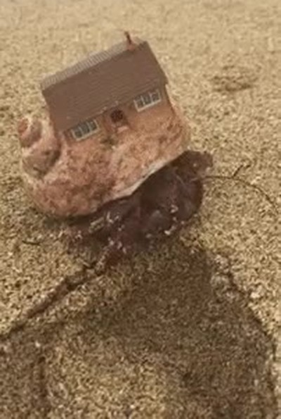 vivir,mudanza,aparatoso,mar